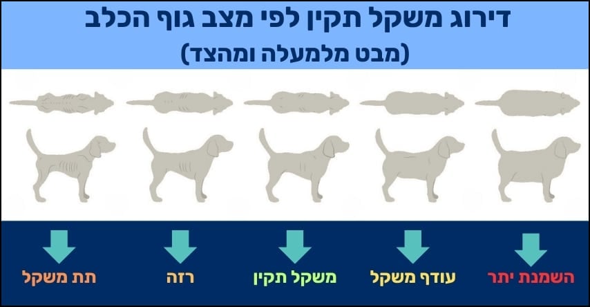 השמנת יתר אצל כלבים