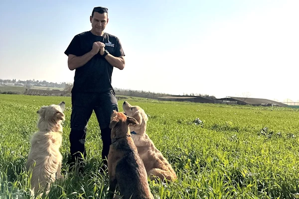 אילוף מאוזן - איך זה עובד ולמה זה מביא תוצאות אילוף מאוזן